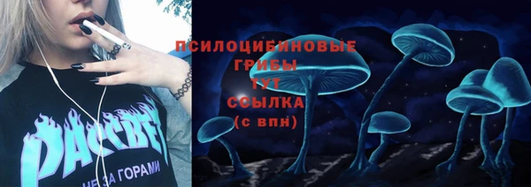 дживик Богородицк