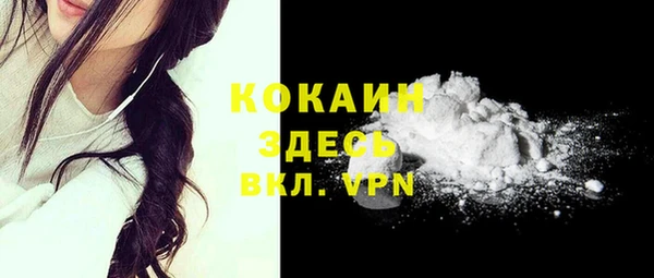 дживик Богородицк