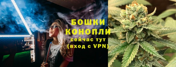 дживик Богородицк