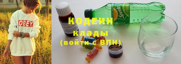 дживик Богородицк