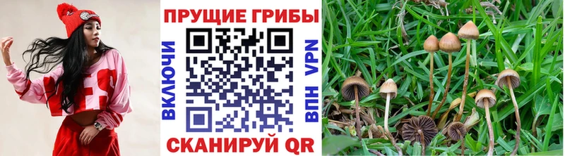 Псилоцибиновые грибы Magic Shrooms  MEGA ссылки  Смоленск 